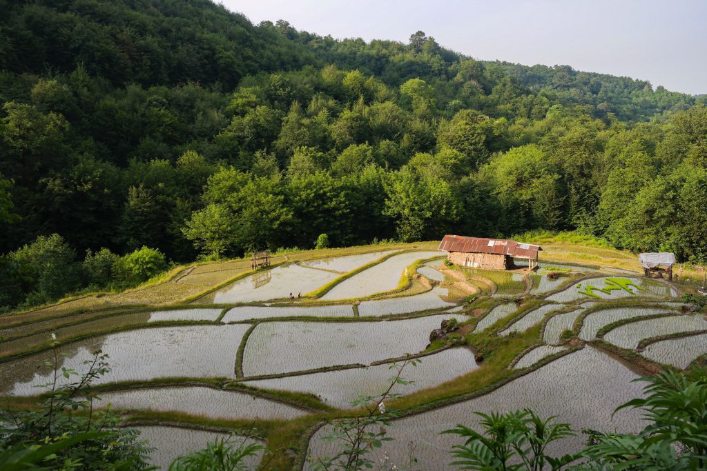 ToIranTour-Greenlands-in-Rasht