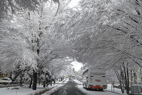 Winter in Iran
