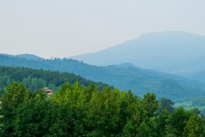 ToIranTour - Hyrcanian Forest