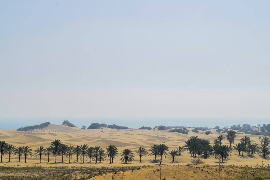 ToIranTour - Darak Desert