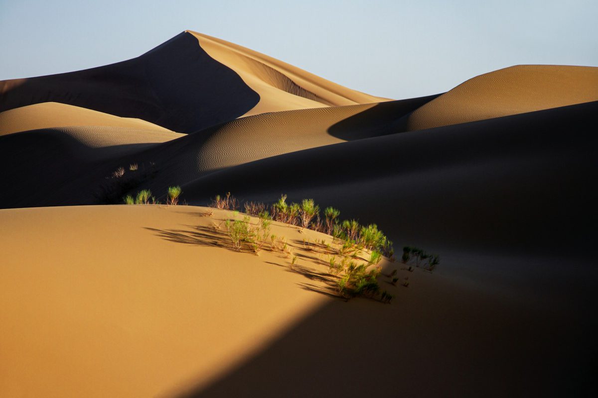 ToIranTour - Varzaneh Desert