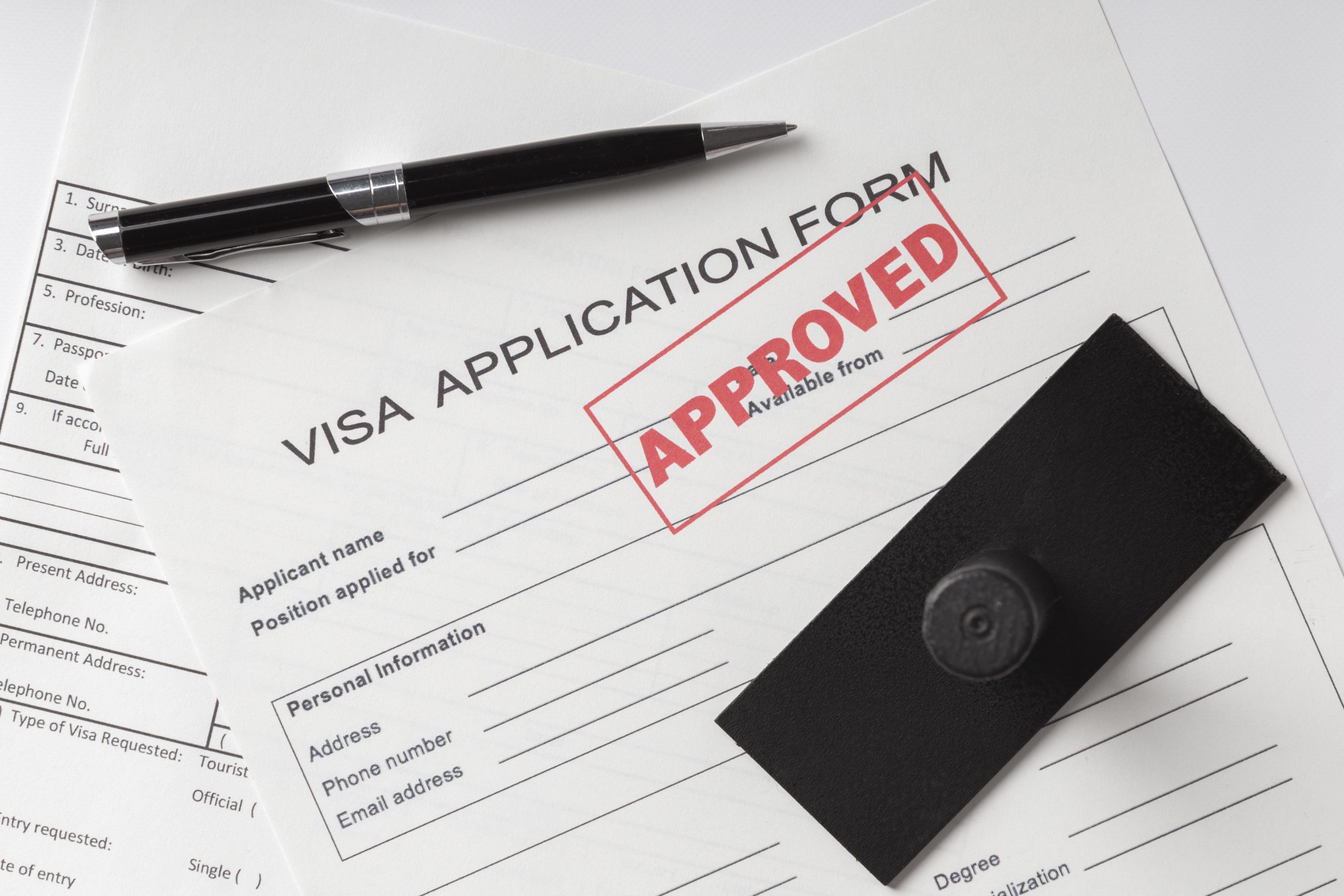 Iran visa application form