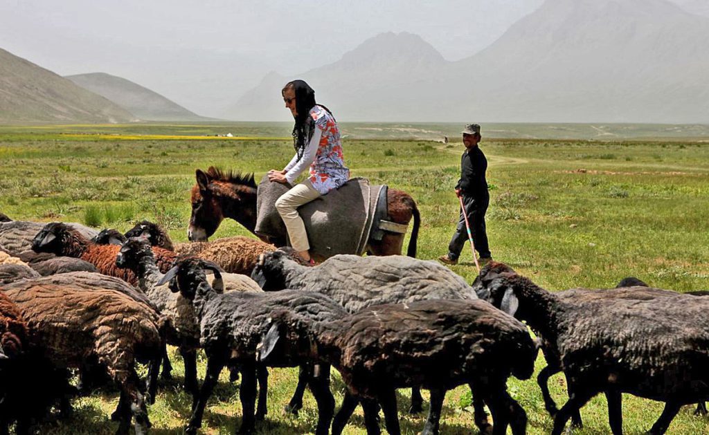 ToIranTour - Nomad Life - Lar National Park - Iran - blog