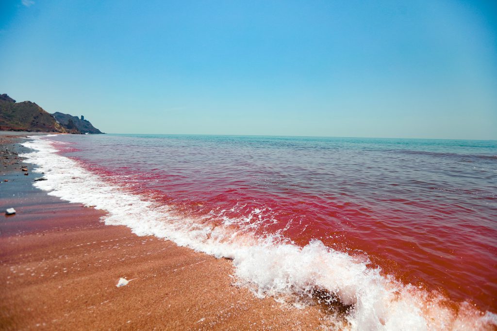ToIranTour - Red water in red beach - Rainbow Island - Iran - blog