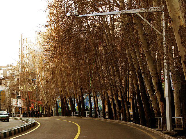 ToIranTour - Valiasr Street Trees