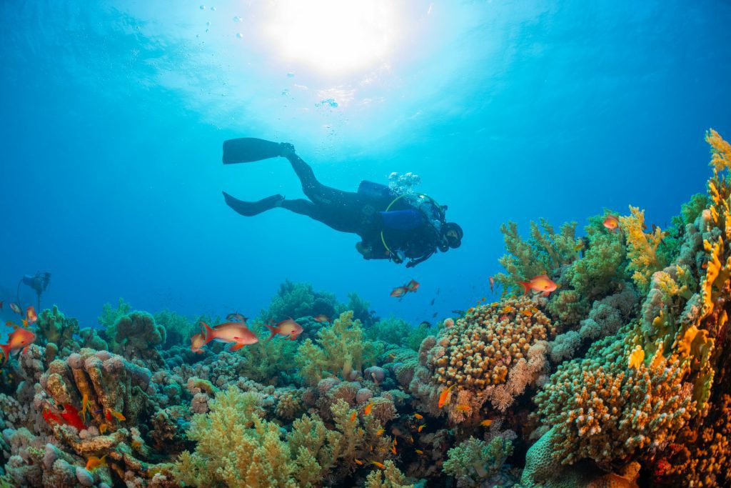 ToIranTour - Kish Diving Center