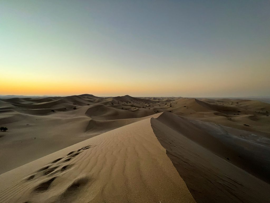 ToIranTour - Lut Desert