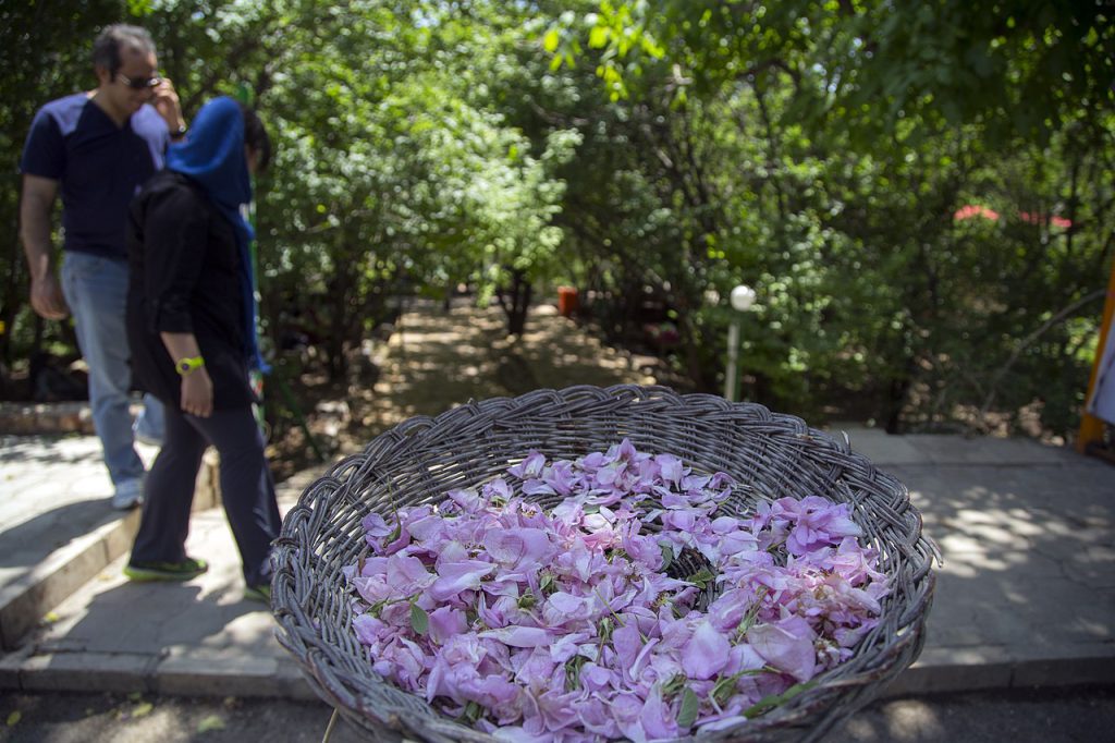 ToIranTour - Best Season for Kashan Rose Water Festival