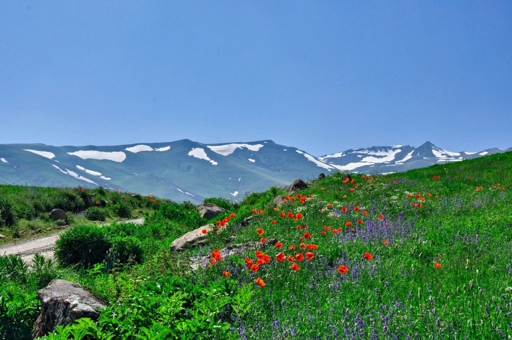 ToIranTour - Best Time to Climb Sabalan Mountain