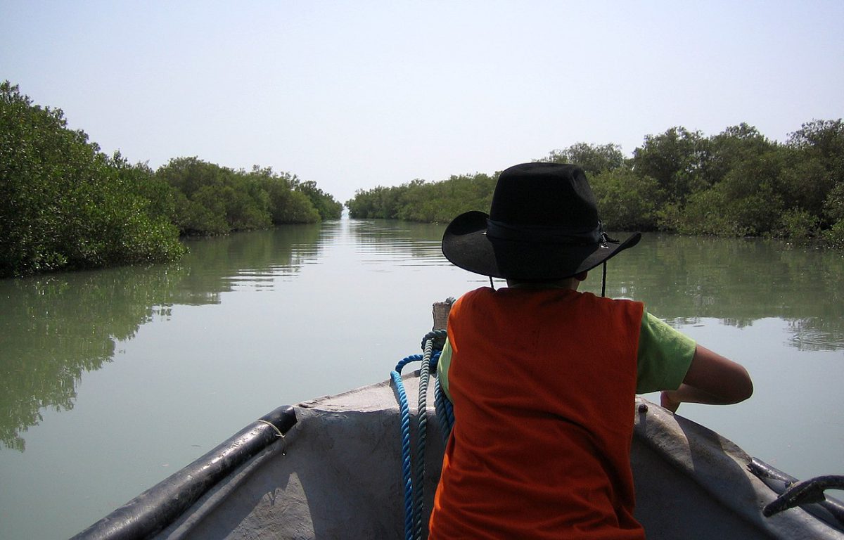 ToIranTour - Mangrove Forests of Qeshm