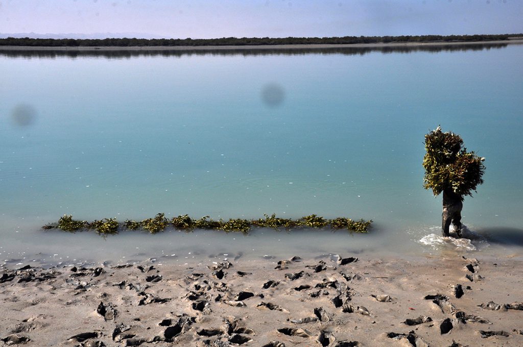 ToIranTour - Qeshm Geopark