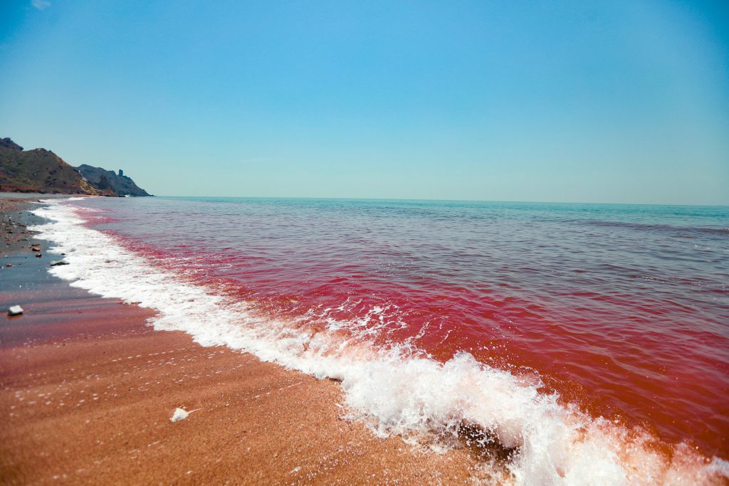 ToIranTour - Geological Wonders of Hormoz Soil Carpet