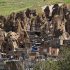 1-Day Tour of Kandovan Rocky Village