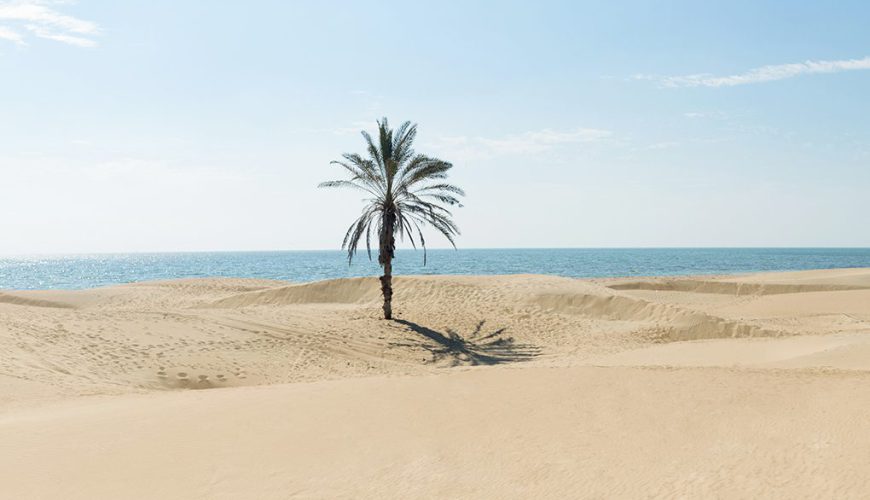 ToIranTour-Darak_Beach-Southern-Iran